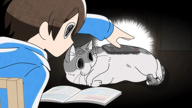 Night 14: Wanting to Set Things on a Cat's Back