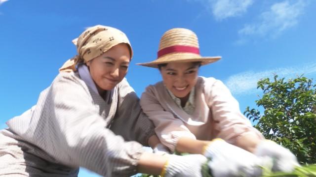 （１１６）「ゆし豆腐のセレナーデ」