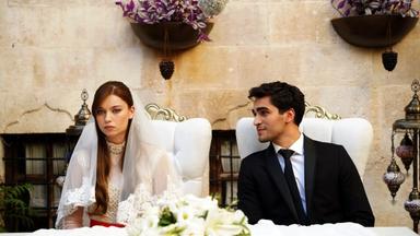 الطائر الرفراف | TV Time