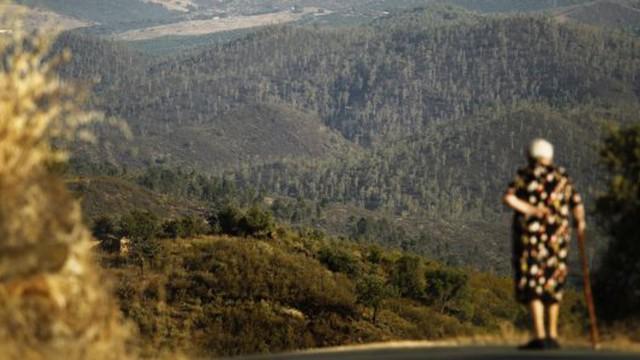 Berrocal: lo que el fuego se llevó