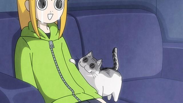 Night 16: A Cat That Approaches During an Emotional Scene