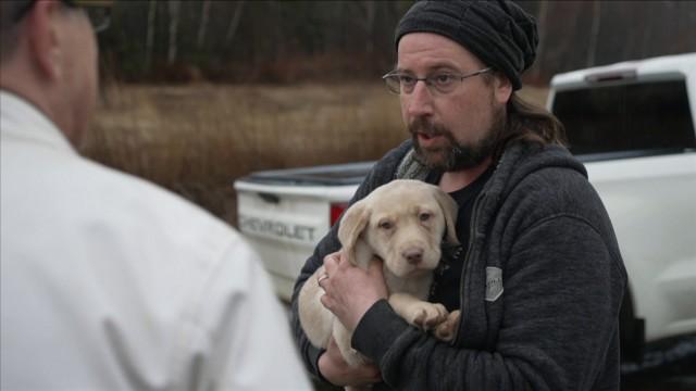 Un éleveur de chiots aux méthodes particulières