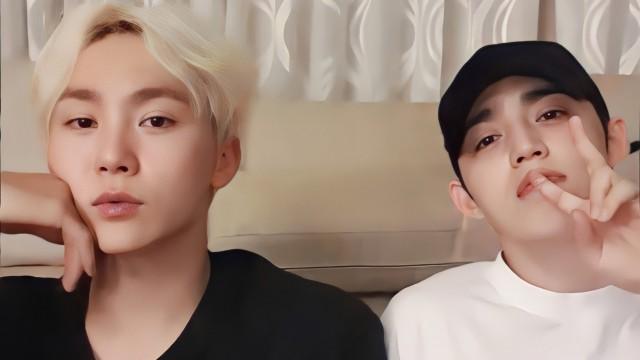 뿌스테라