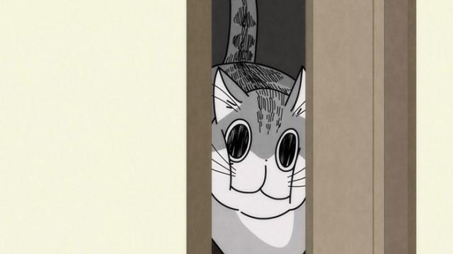 Night 17: A Cat Can Get Through Anywhere Their Head Can