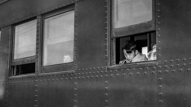 Betrayed: Surviving an American Concentration Camp