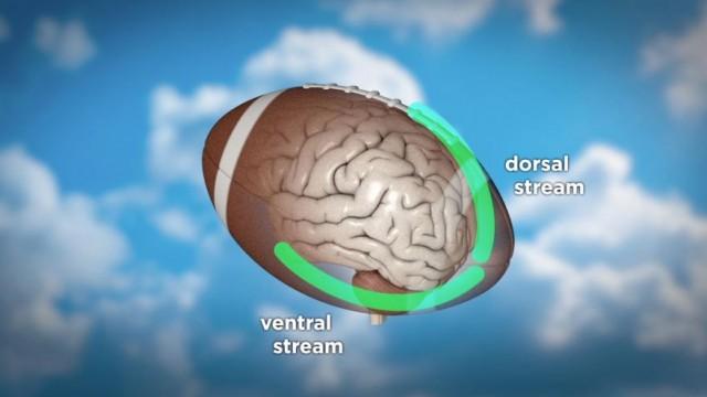 Perception: Foundationalism and Externalism