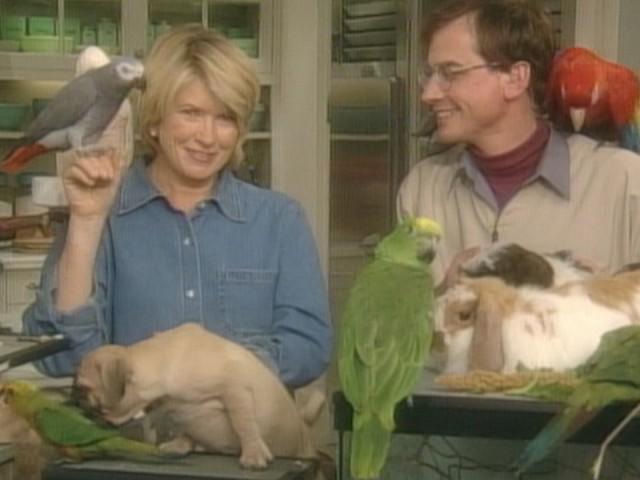 Christmas Cactus; Spiedini alla Romano; Venetian Glass