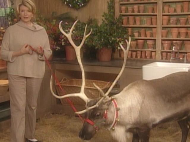 Birch de Noel Cake; Reindeer; Gumdrop Wreath and Ornaments