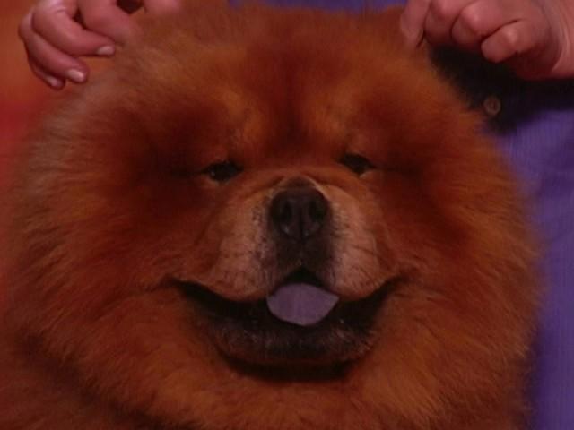 Kitchen Organization; Organizing Kids Art