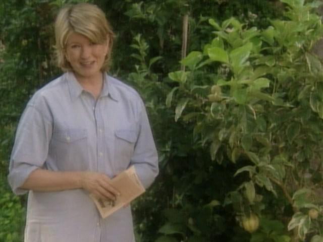 Lemon Glossary; Lemon Candles; Lemon Meringue Cake