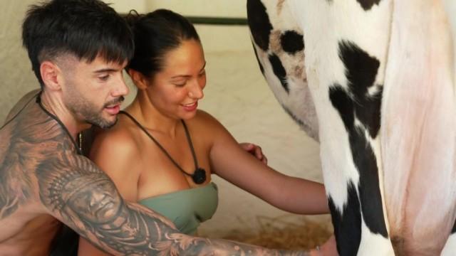 Tengo una vaca lechera