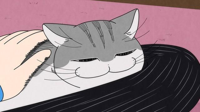 Night 19: A Cat That Comes to Sit on Your Lap