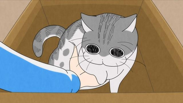 Night 18: A Cat That Won't Move Over