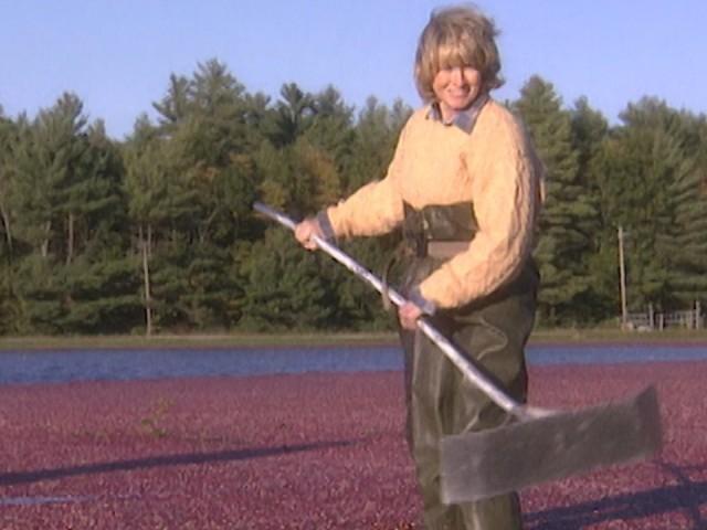 Raisin Pie; Cranberry Bog; Spiced Cranberry Mold