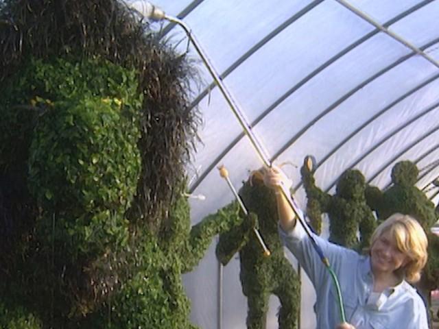 Gnocchi; Cotton Wreath; Disney Topiaries