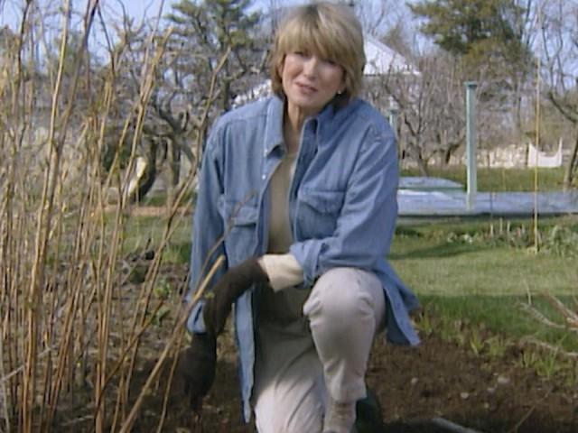 Bare Root Roses; Daffodil Bundles; Container Garden