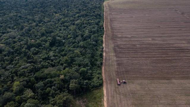 Amazonia: la salud del planeta se vota en Brasil