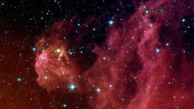 Ha nacido una estrella: se busca nombre