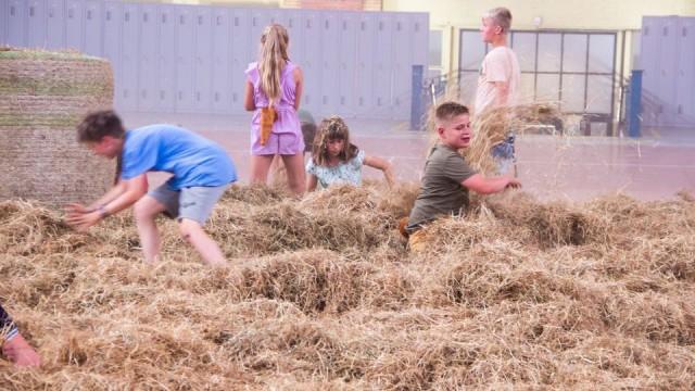 Speld in de hooiberg