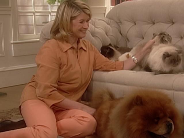 Arborio Rice Salad; Avocado; Beet; Pea and Cucumber Salad