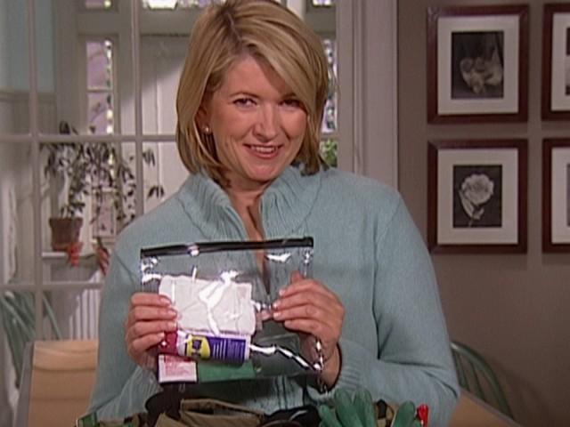 Morning Market Noodles; Miso Salad Dressing