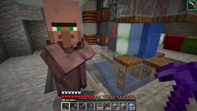 Villager Fun Times