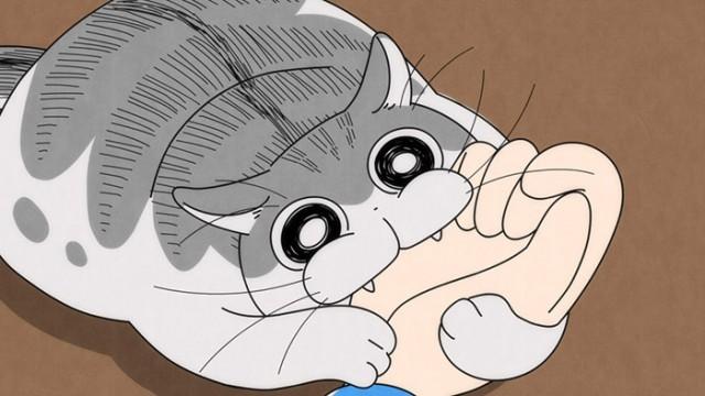 Night 21: A Cat Bites Me