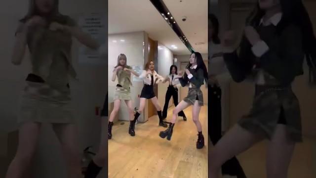 #트라이비 #현빈 #미레 선배님과 함께 #Big_wave_Challenge 할 준비됨? ㅇㅇ 준비됨 위로 손들어 #Shorts