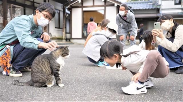 福井 “ねこ寺”に招かれて