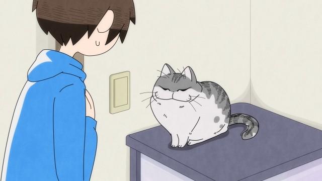 Night 22: Scared by a Cat
