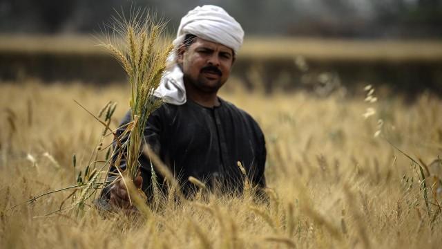 Landwirtschaft neu denken