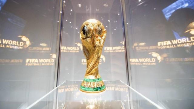 Qatar: nuestros convocados para contar el mundial