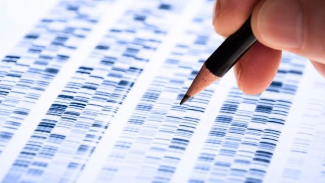 Reconstructing the Tree of Life with DNA