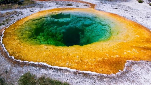 The Evolution of Extreme Life