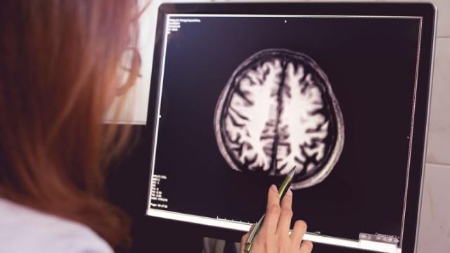 The Evolution of Braisn and Behavior