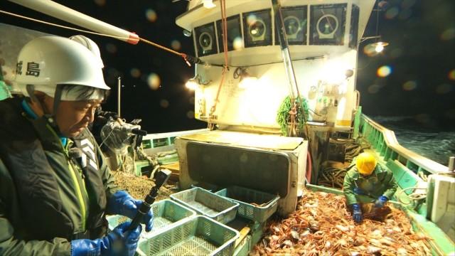 漆黒の日本海で奇跡のカニを…城島から後輩たちへ重大発表が