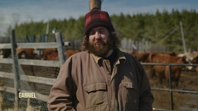 Au gré des saisons