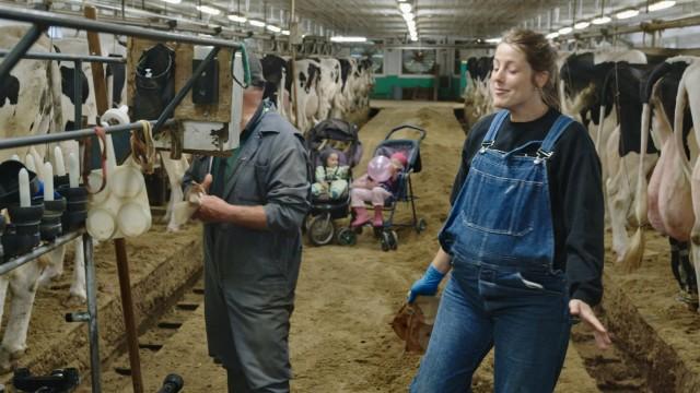 Des enfants à la ferme