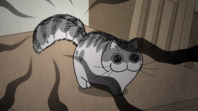 Night 26: The Curious Puffed-Up Tail