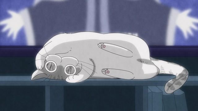Night 27: A Cat That Makes It Hard to Watch a Movie