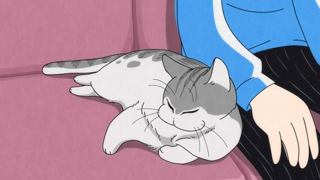 Night 28: A Cat That Sits Down Next to You