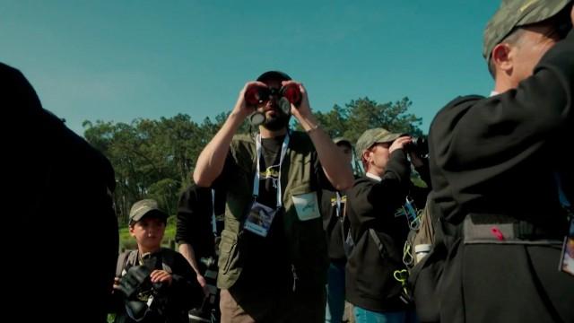 Como Fazer Birdwatching