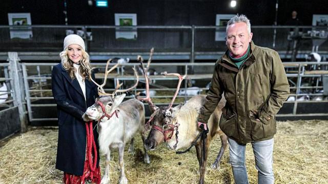 Christmas on the Farm