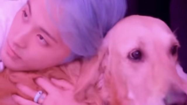 Dreamies love doggy #NCTDREAM #Candy