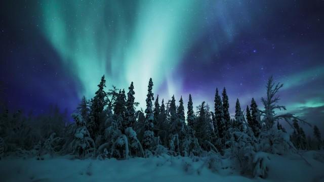 Eisige Welten II (5): Taiga und Tundra