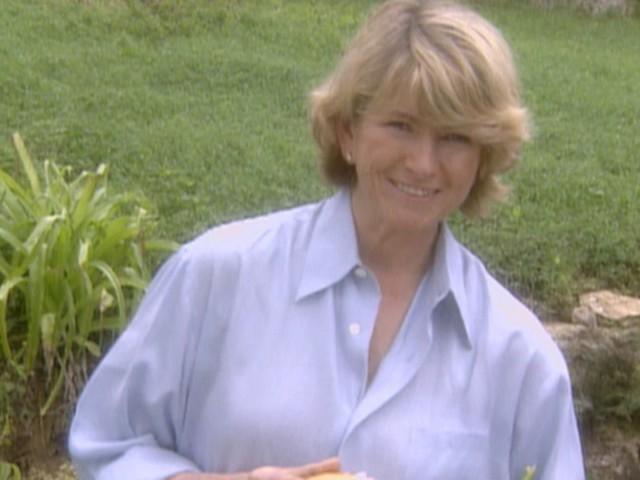 Jamaica (Field Trip); Jerk Chicken; Strawberry Hill Gardens