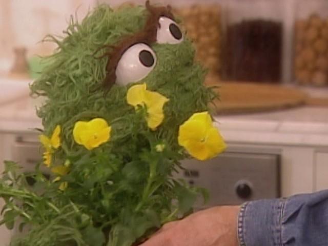 Fried Chicken 101; Dirt Cake; Peanut Butter Cookies