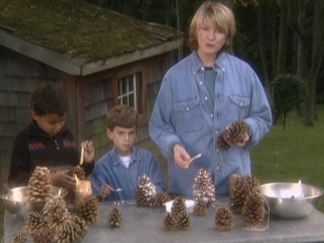 Pinecone Bird Feeders; Decorative Nut Frames; Oatmeal Brulee