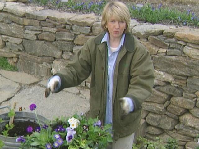 Planting Urns; Brutti Ma Buoni; Planting Spinach