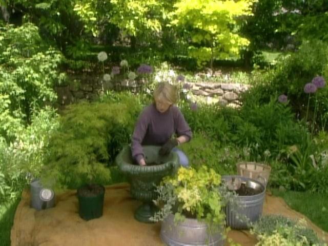 Bacon-Wrapped Meatloaf; Japanese Maples in Urns